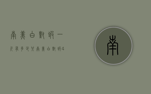 南美白对虾一斤有多少只（南美白对虾40头多少钱斤）