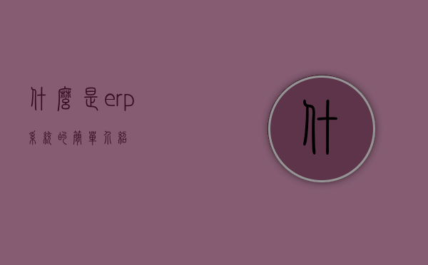 什么是erp系统的简单介绍