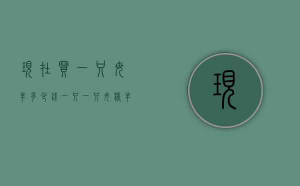 现在买一只母羊多少钱一只（一只母种羊多少钱）