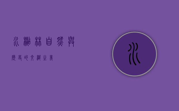 水杉林，自然与历史的交织之美