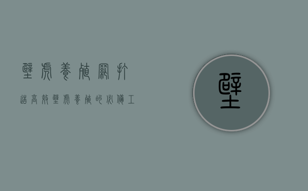 壁虎养殖网，打造高效壁虎养殖的必备工具