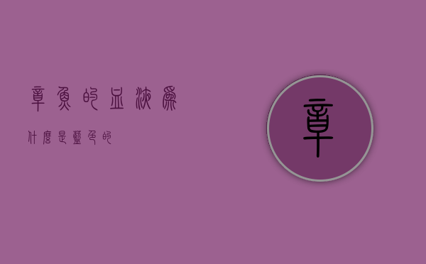 章鱼的血液为什么是蓝色的？