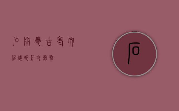 石板龟,古老而神秘的爬行动物 石板龟,古老而神秘的爬行动物