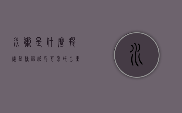 水獭是什么，揭秘这种神秘而可爱的水生哺乳动物