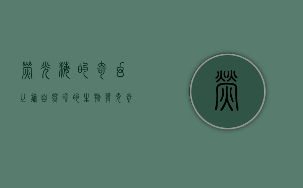 荧光海的奇幻之旅，自然界的生物发光奇观