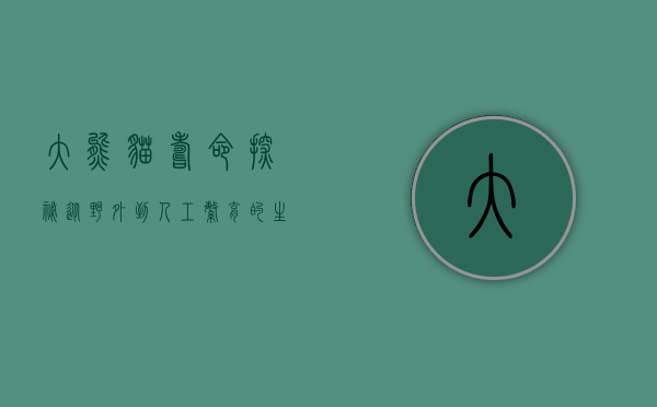 大熊猫寿命探秘，从野外到人工繁育的生存挑战与保护成果