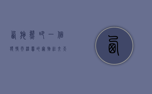 西施熊吧，一个独特而温馨的宠物社交天地