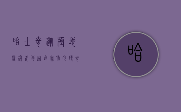 哈士奇，从极地雪橇犬到家庭宠物的传奇之旅