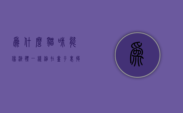 为什么猫咪能像液体一样缩在盒子里?揭秘猫咪的液体之谜 为什么猫咪能像液体一样缩在盒子里?揭秘猫咪的液体之谜