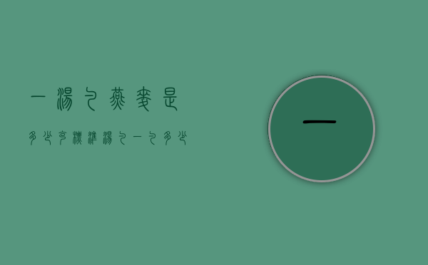 一汤勺燕麦是多少克（标准汤勺一勺多少克）