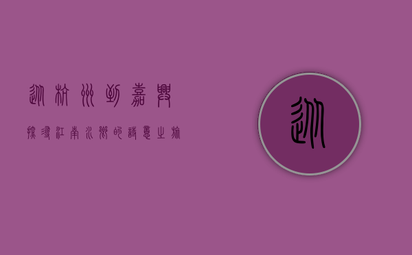 从杭州到嘉兴，探寻江南水乡的诗意之旅