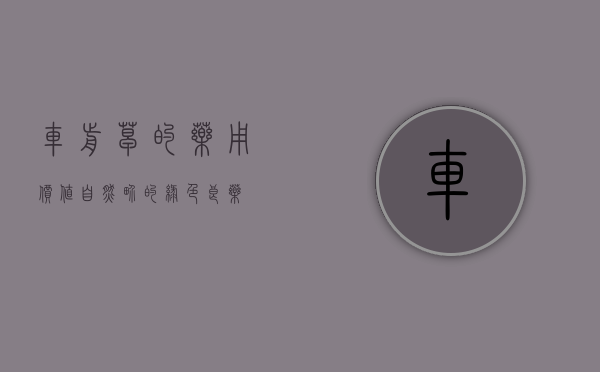 车前草的药用价值，自然界的绿色良药