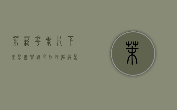 茉莉花叶片下垂怎么办 该要如何解决（茉莉花叶子掉光了怎么办?）