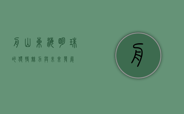 舟山，东海明珠的独特魅力与未来发展