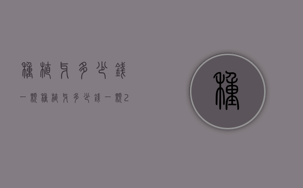 种植牙多少钱一颗（种植牙多少钱一颗2022价格表）