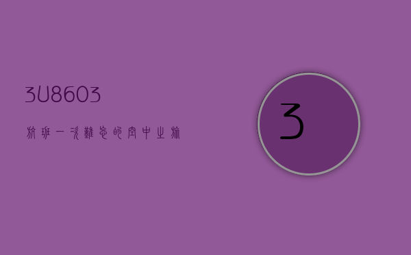 3U8603航班，一次难忘的空中之旅