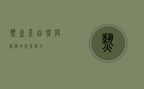 热盆景，自然与艺术的完美融合