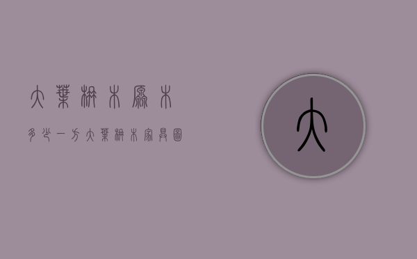 大叶楠木原木多少一方（大叶楠木家具图片）