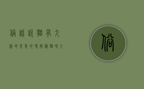 俗话说猫有九条命是真的吗?揭秘猫咪九条命的传说与现实 俗话说猫有九条命是真的吗?揭秘猫咪九条命的传说与现实
