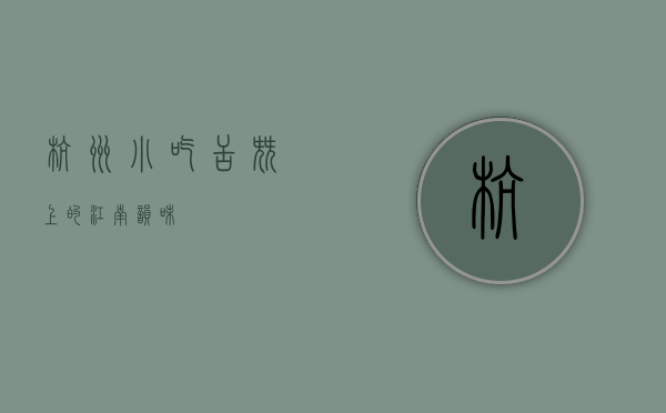 杭州小吃，舌尖上的江南韵味