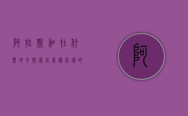 阿拉斯加在什么地方？探索北美最北端的壮丽之地