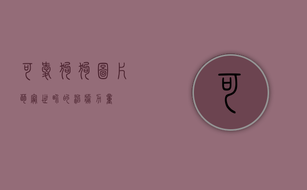 可爱狗狗图片，萌宠世界的治愈力量