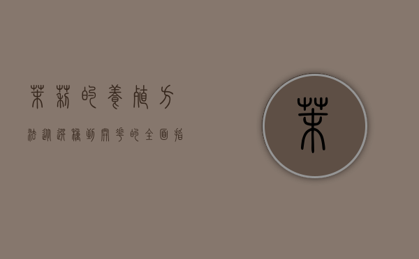 茉莉的养殖方法，从选种到开花的全面指南