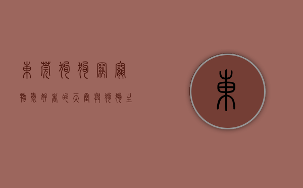 东莞狗狗网，宠物爱好者的天堂与狗狗主人的必备指南