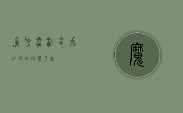 魔法丛林，奇幻世界的自然奇迹