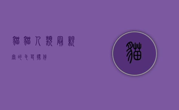 猫猫，人类最亲密的毛茸伙伴