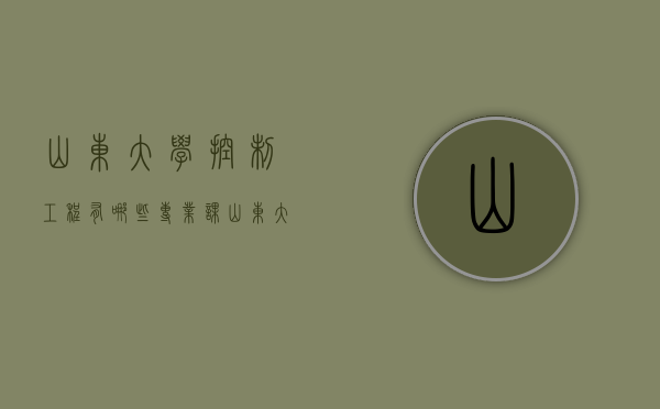 山东大学控制工程有哪些专业课（山东大学控制工程有哪些专业课程）