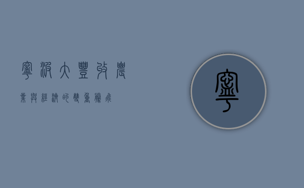 宁波大丰收，农业与经济的双重腾飞
