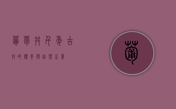 葡萄井，千年古井的传奇与自然之美