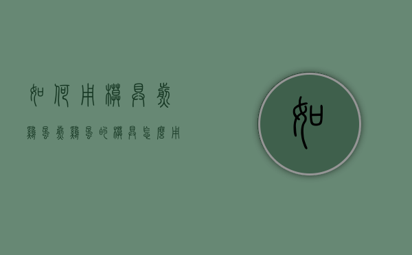 如何用模具煎鸡蛋（煎鸡蛋的模具怎么用）