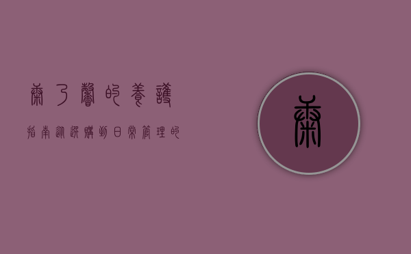 康乃馨的养护指南，从选购到日常管理的全面解析