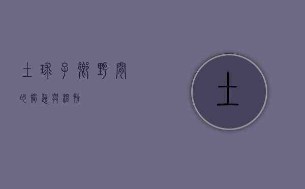 土球子，乡野间的智慧与温情