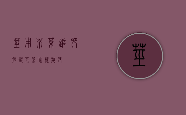 茎用芥菜追肥知识（芥菜怎样施肥）