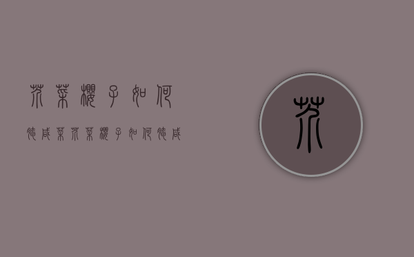 芥菜樱子如何腌咸菜（芥菜樱子如何腌咸菜好吃）