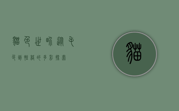 猫色世界，从毛色到性格的多彩探索