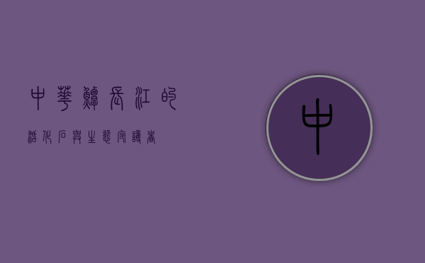 中华鲟，长江的活化石与生态守护者