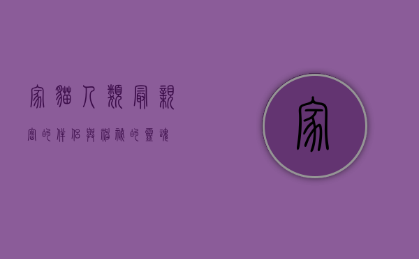 家猫，人类最亲密的伴侣与神秘的灵魂