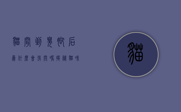 猫闻到臭脚后为什么会张开嘴？揭秘猫咪的裂唇嗅反应