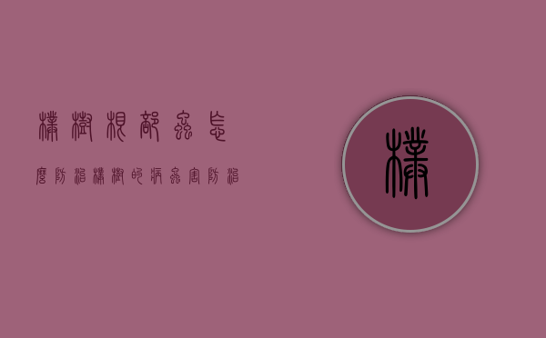 朴树根部虫怎么防治（朴树的病虫害防治）