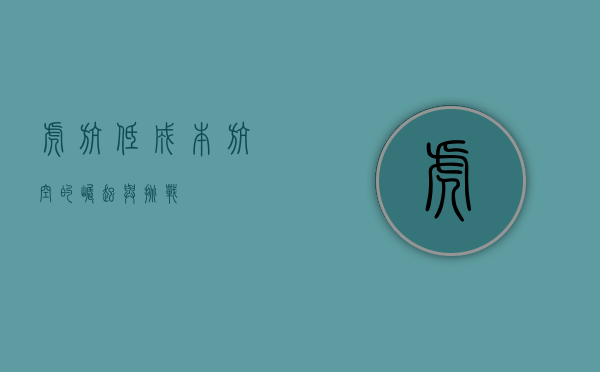 虎航，低成本航空的崛起与挑战