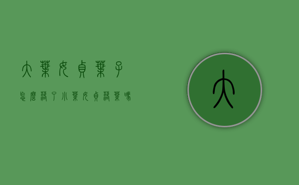 大叶女贞叶子怎么落了（小叶女贞落叶吗?）