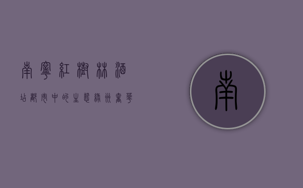 南宁红树林酒店，都市中的生态绿洲，奢华与自然的完美融合