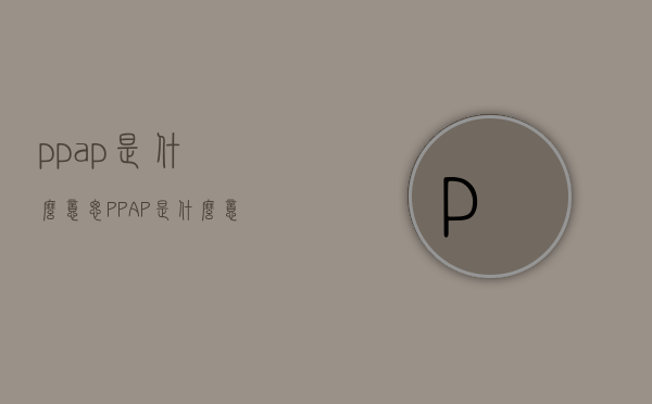 ppap是什么意思（PPAP是什么意思啊）