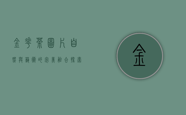 金花茶图片，自然与艺术的完美融合，探索金色茶花的独特魅力