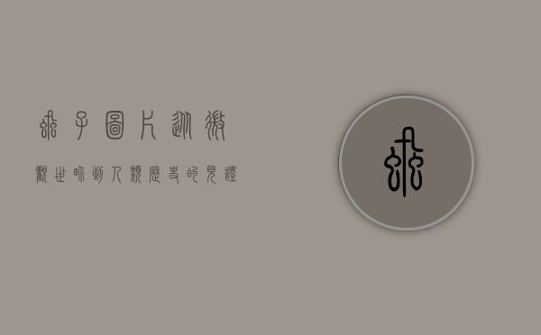 虱子图片，从微观世界到人类历史的见证
