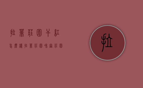 拉菲庄园干红怎么样（拉菲庄园和富庄园2011年干红）